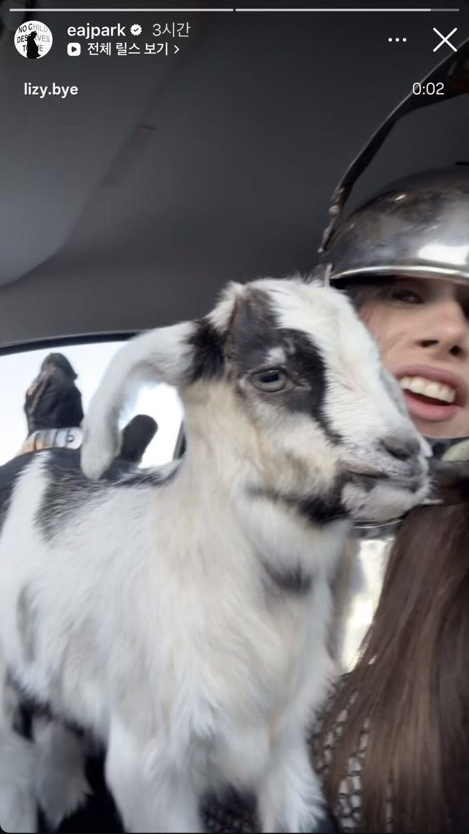 브제¹ᐟ tweet media