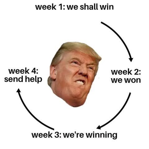 Amber Jehangir🇵🇰🇵🇸 tweet media