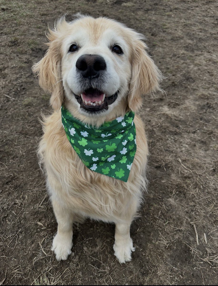 Evan Denton tweet media