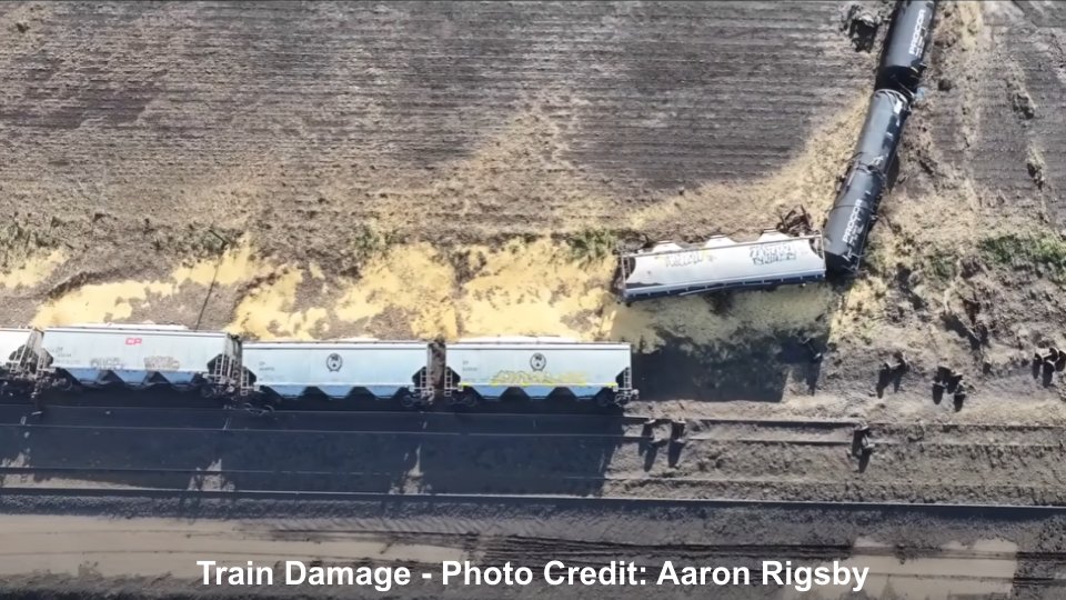 blueskybust (READ BIO BEFORE INT) tweet media