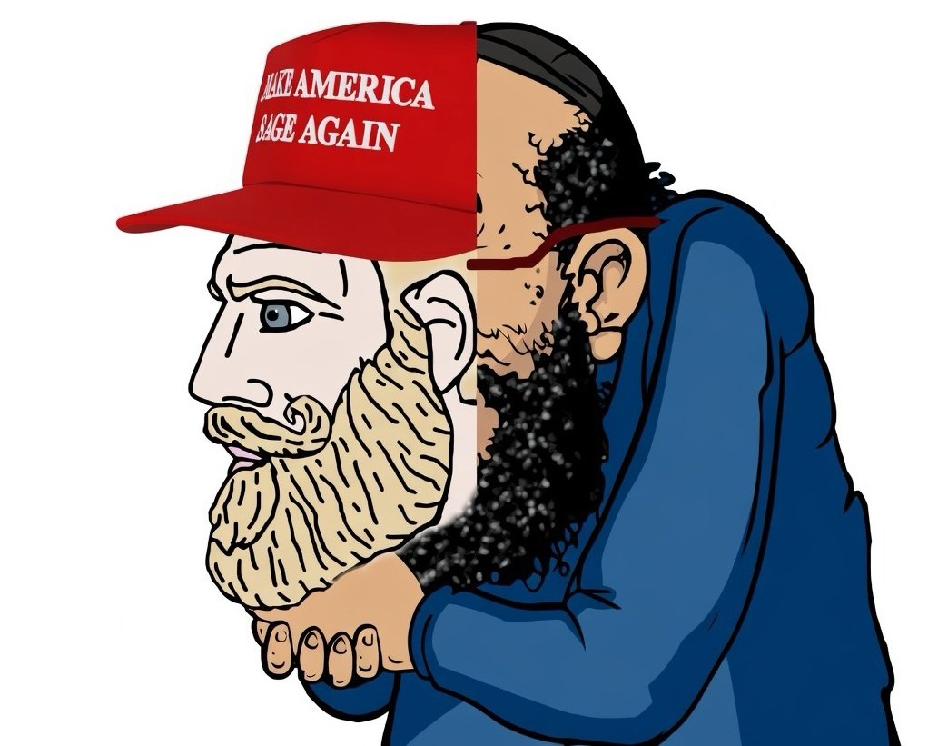 𝙃𝘼𝙕𝘼𝙍 tweet media