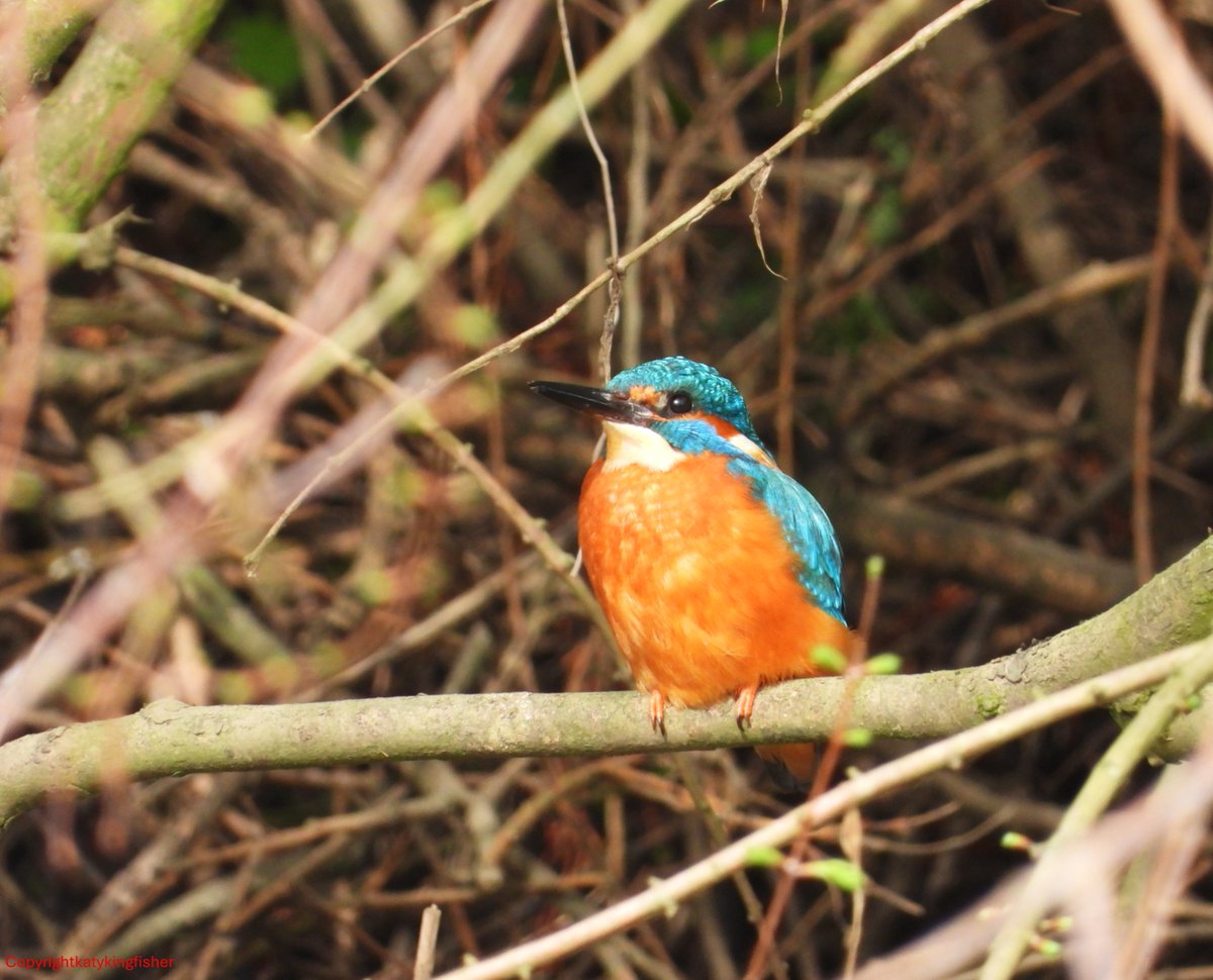 Katy Smith 🇺🇦 tweet media