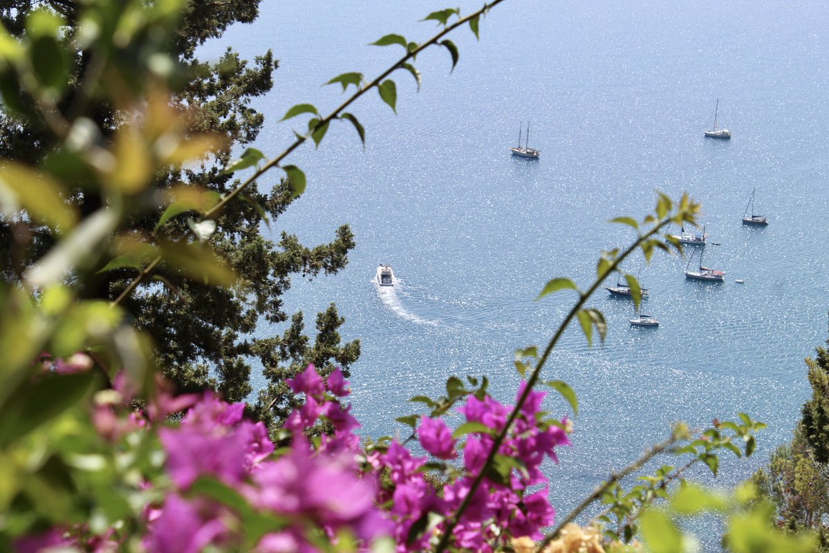 vasyloki tweet media