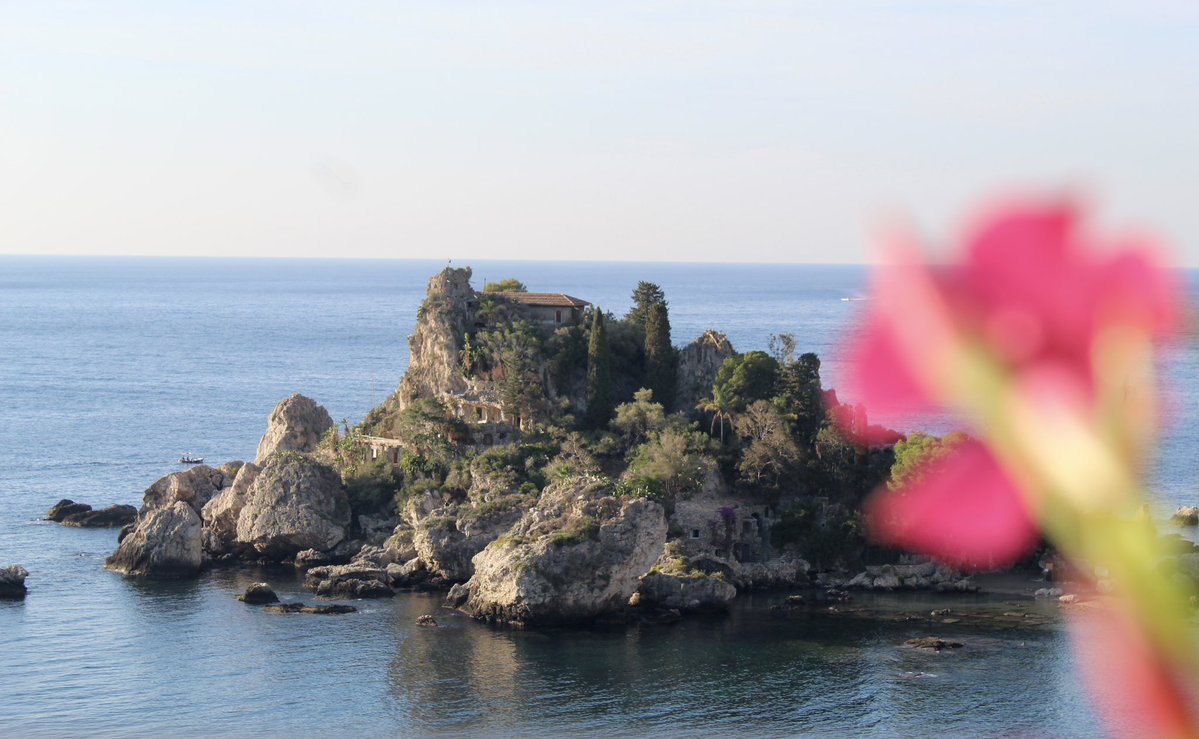 vasyloki tweet media