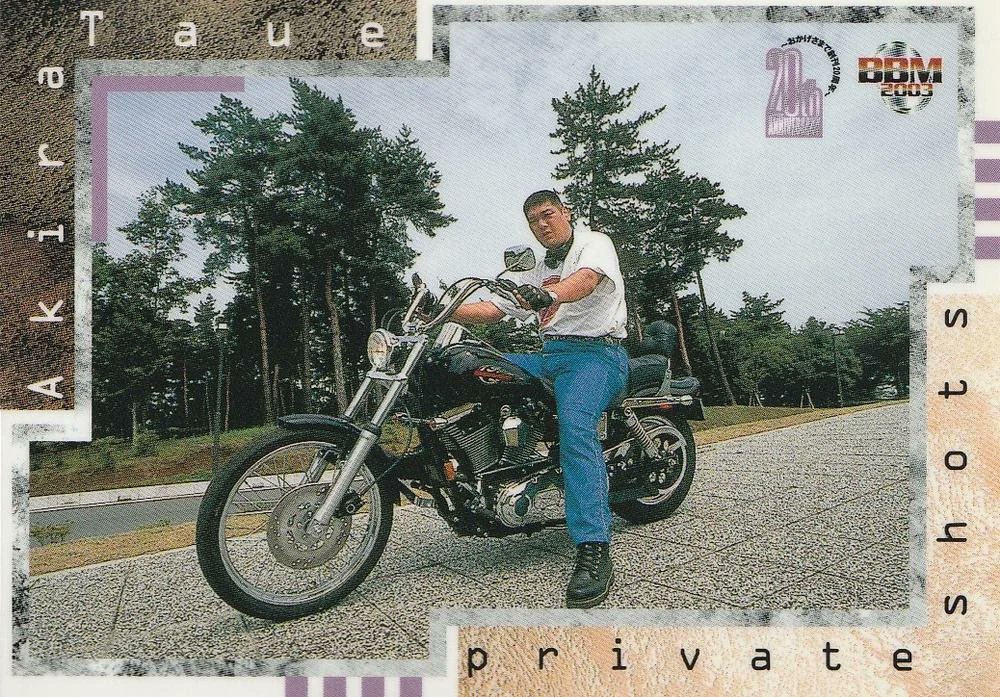 Ultra Oak | ウルトラオーク tweet media