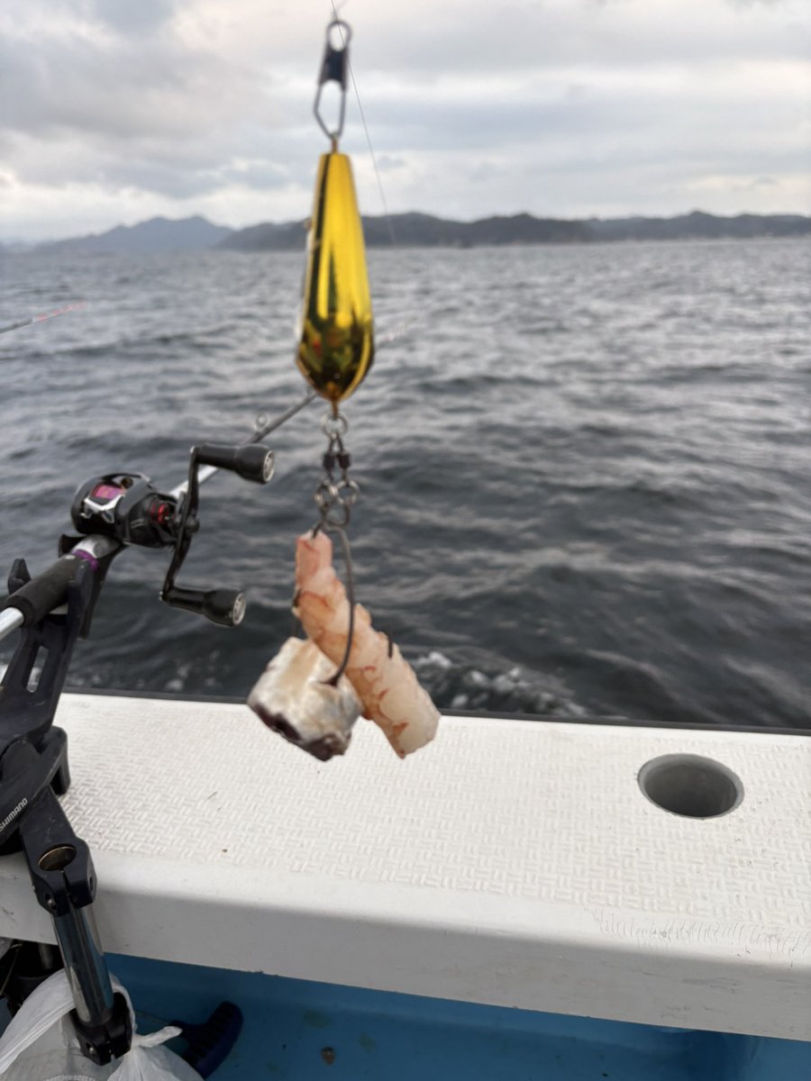 たけすぃの休日 tweet media