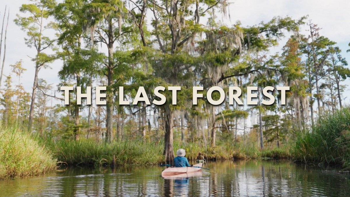 Dogwood Alliance tweet media