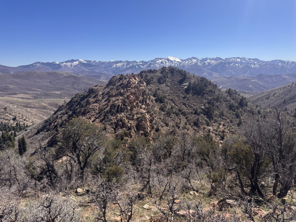 Jason Shepherd tweet media