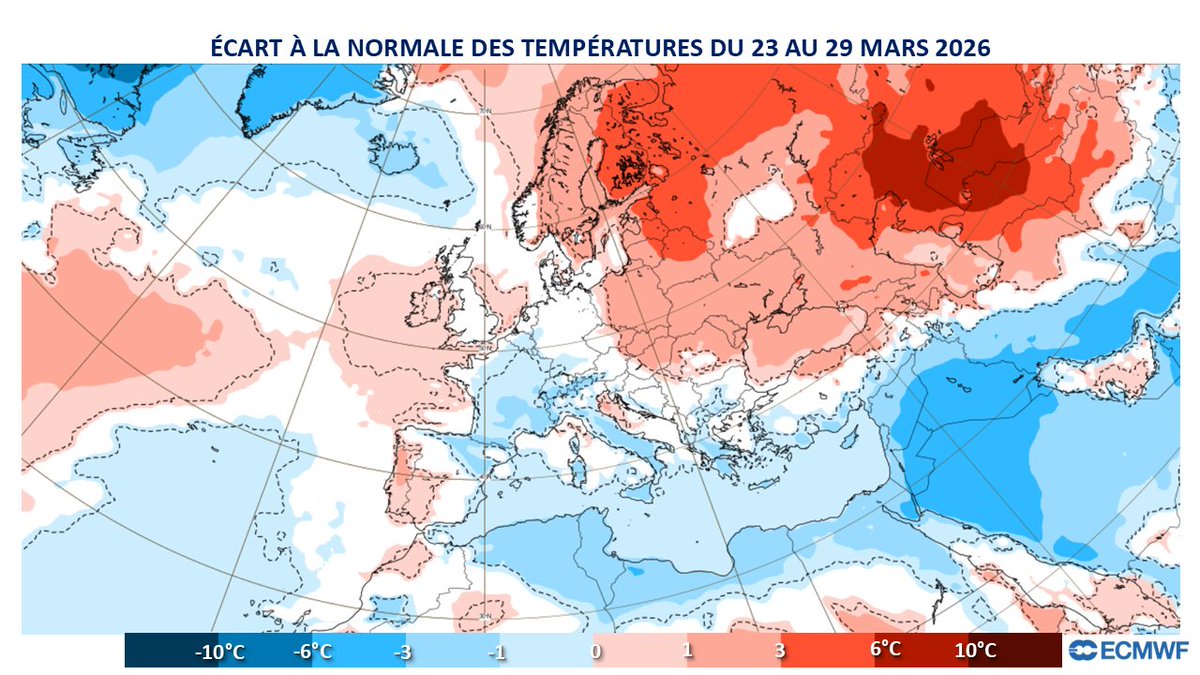 Sébastien DECAUX tweet media