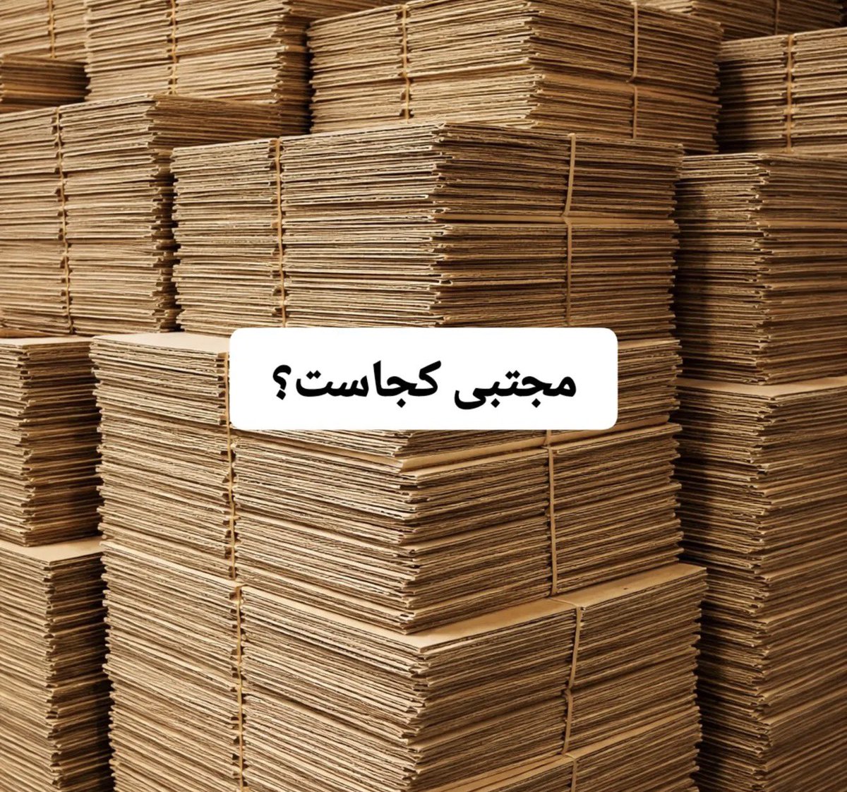 🇮🇷Sanam Vatandoust🇮🇷 tweet media