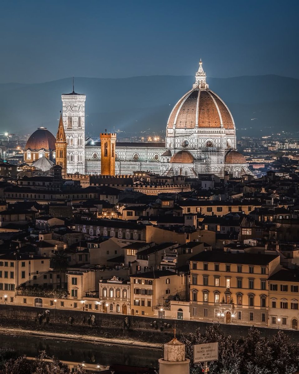 Wildscape Wonders tweet media