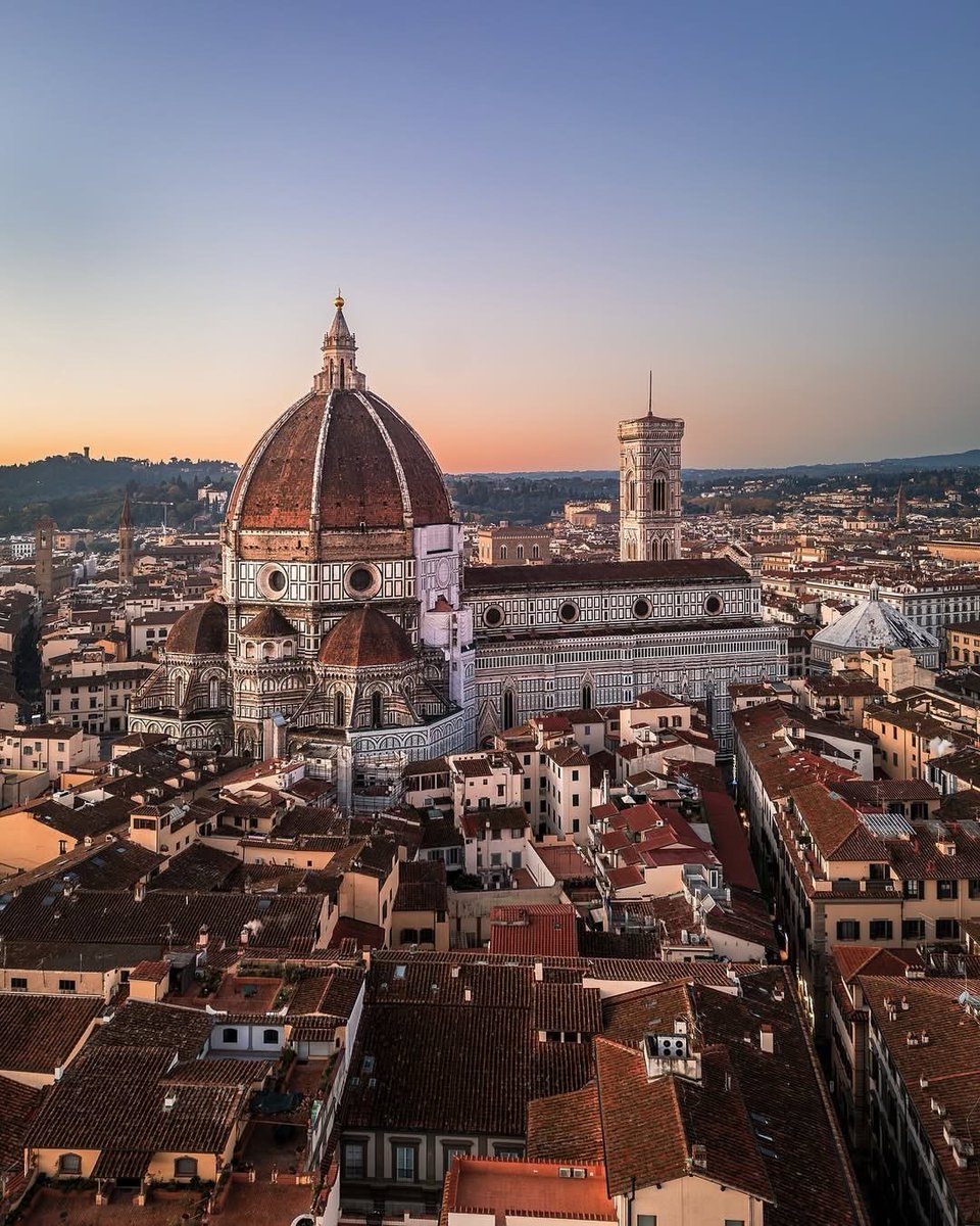 Wildscape Wonders tweet media