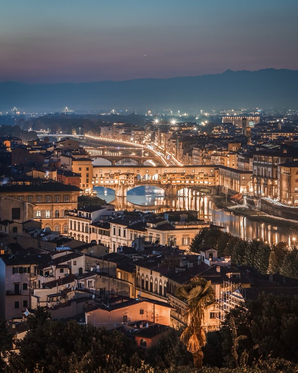 Wildscape Wonders tweet media