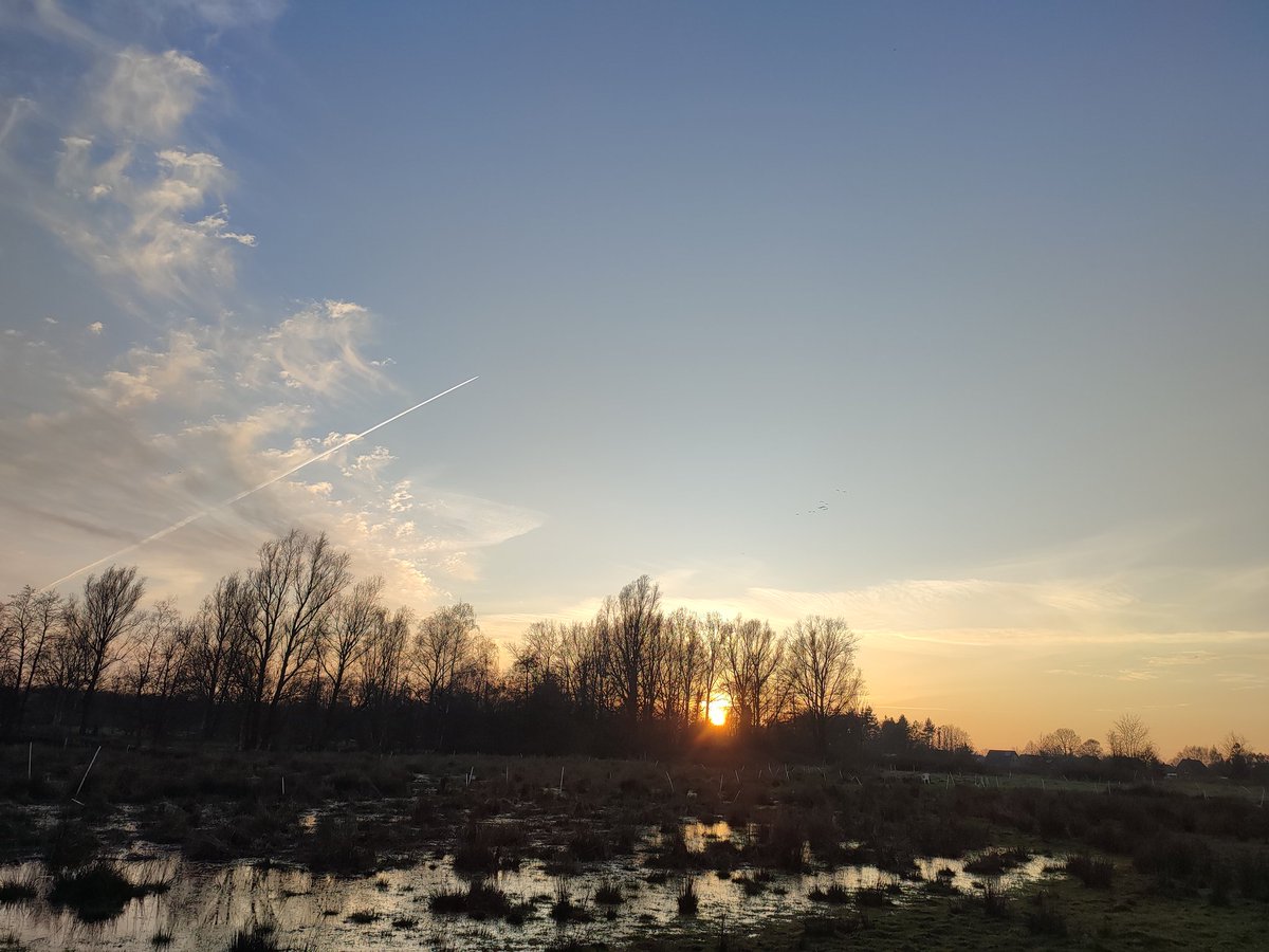 Die Mim  tweet media