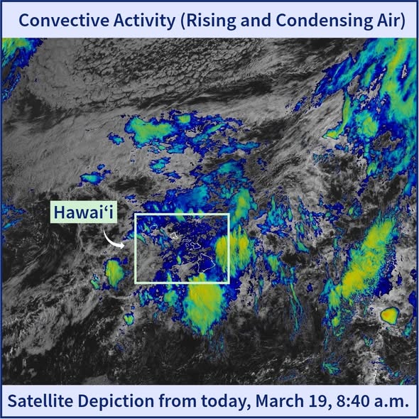 Hawaii EMA tweet media