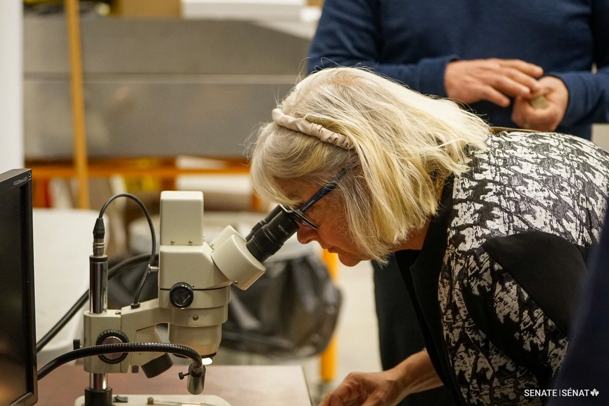 Senate of Canada tweet media