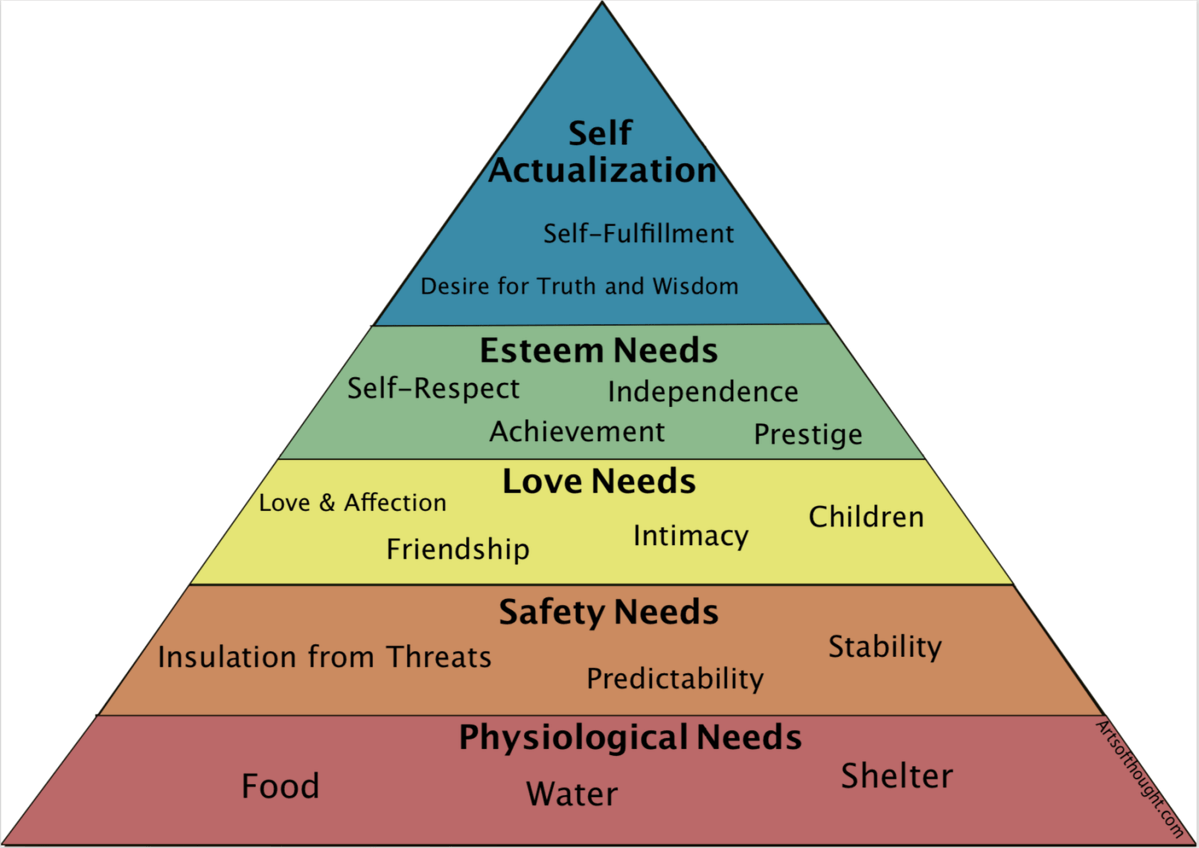 RexAmericanus tweet media