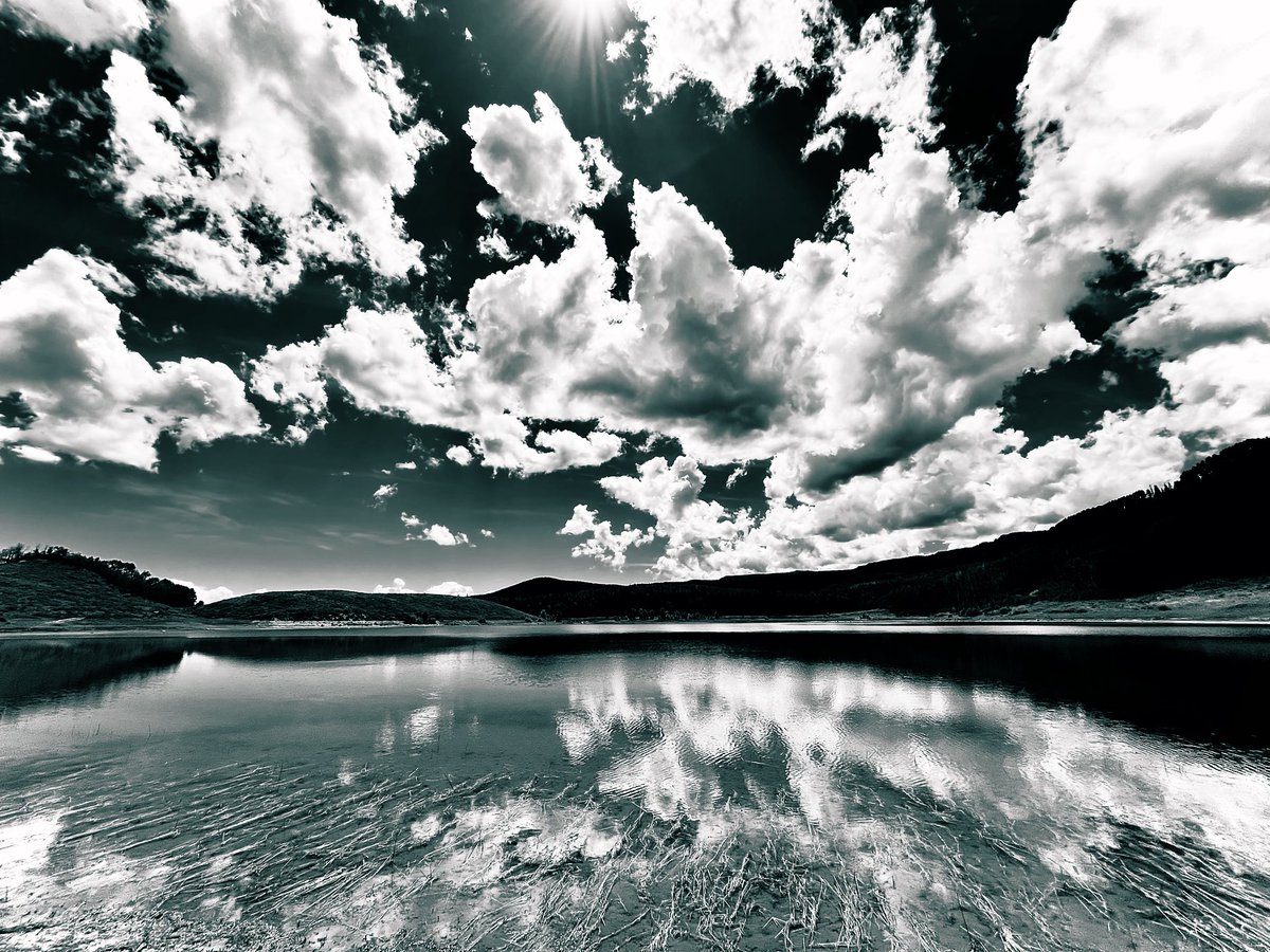 D Miller tweet media