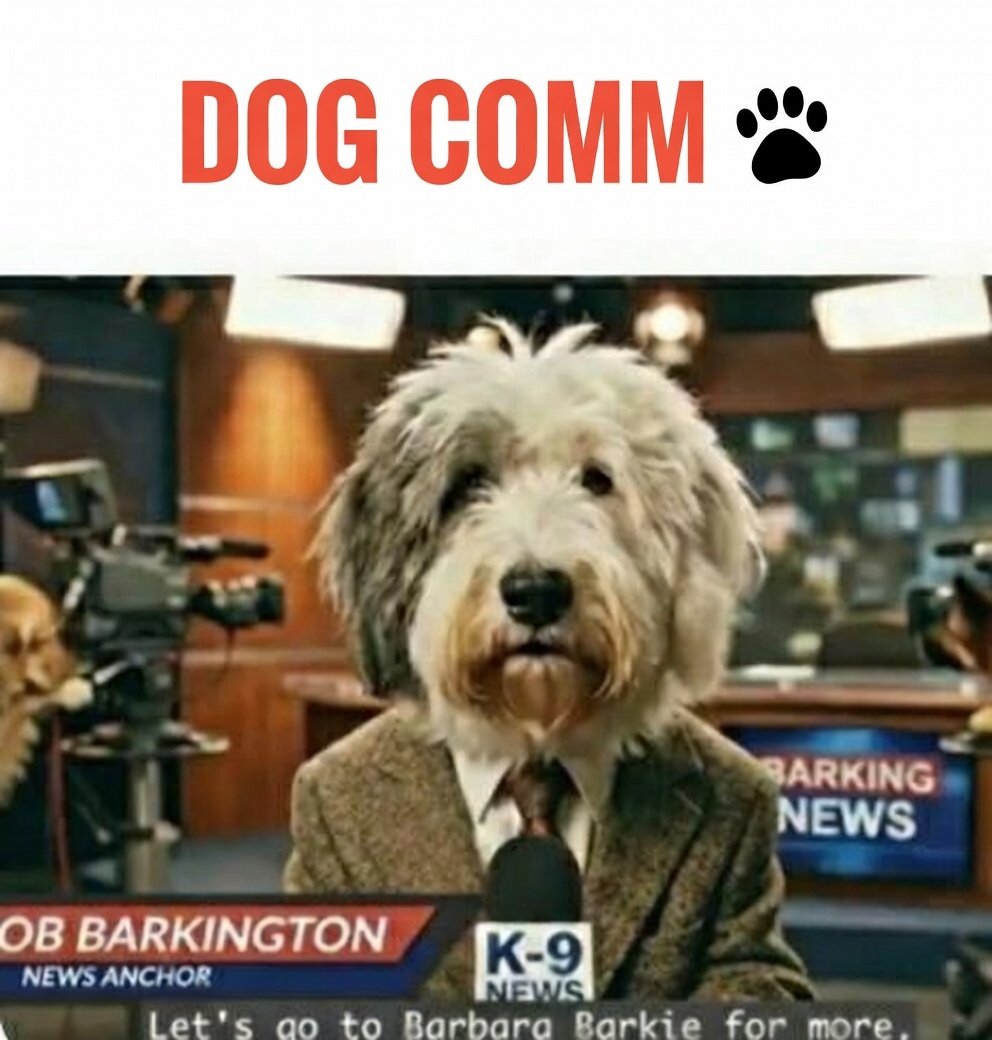 Oh4Pete'sSake! tweet media