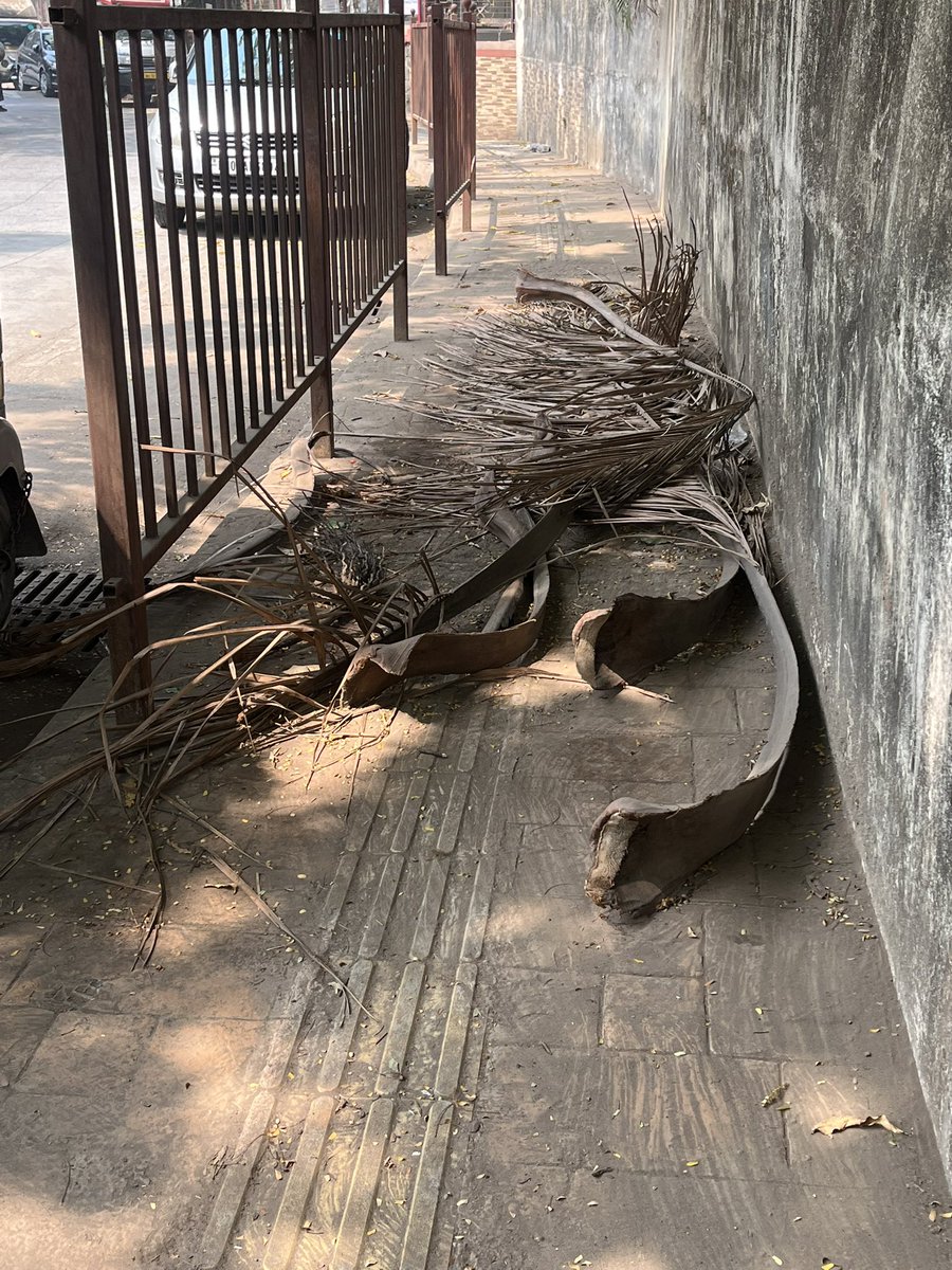 These dried palm waste lying on this footpath making it unusable since monsoon have reported this months back yet not cleared. Are we waiting for the coming monsoon season before lifting this <a href="/mybmcwardKW/">Ward KW BMC</a> <a href="/mybmcSWM/">BMC SWM</a> outside Missionaries of Charity gate Vile Parle West