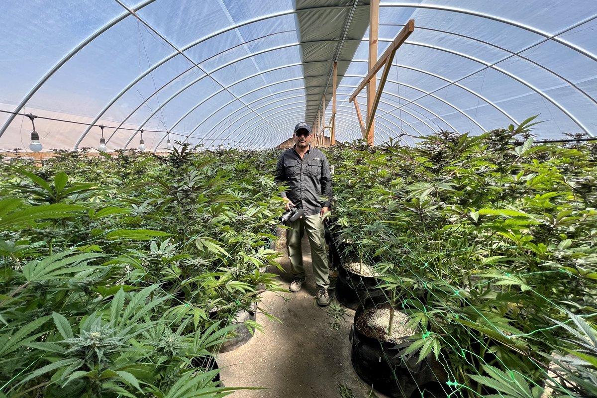 Auden B. Cabello tweet media