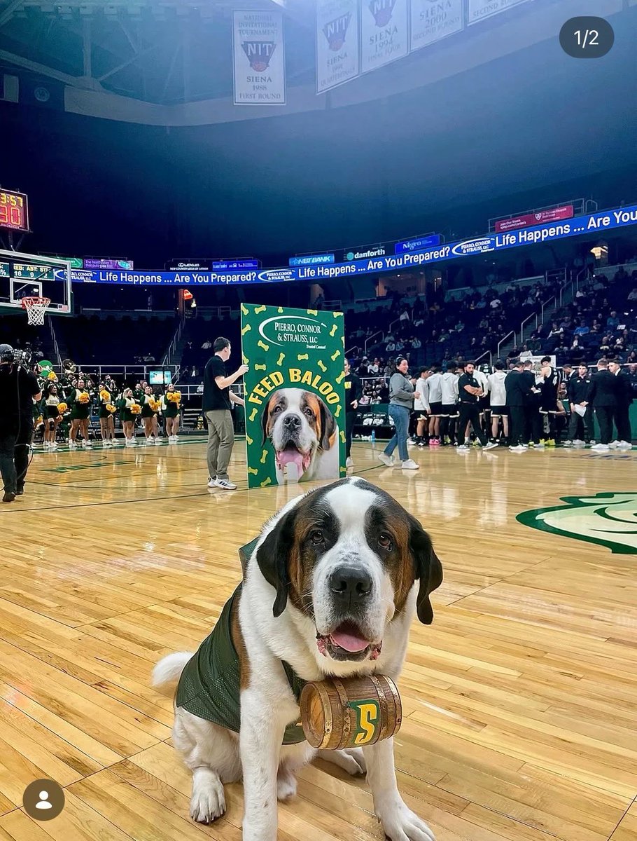 BetMGM 🦁 tweet media