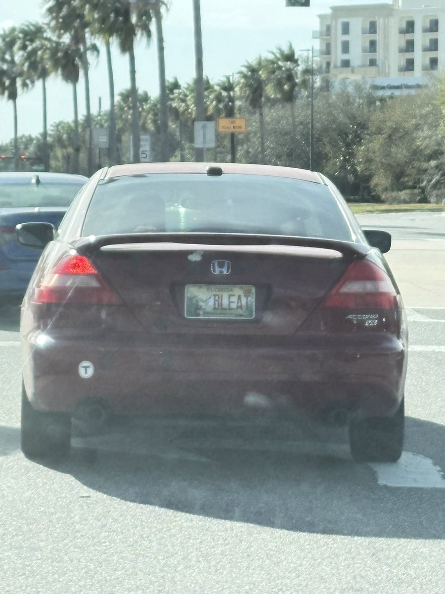 Mutt 𐂯 tweet media