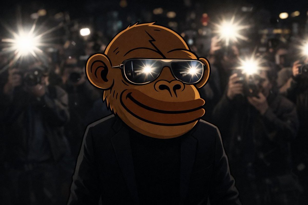 ⚡Kacy Harper⚡ tweet media