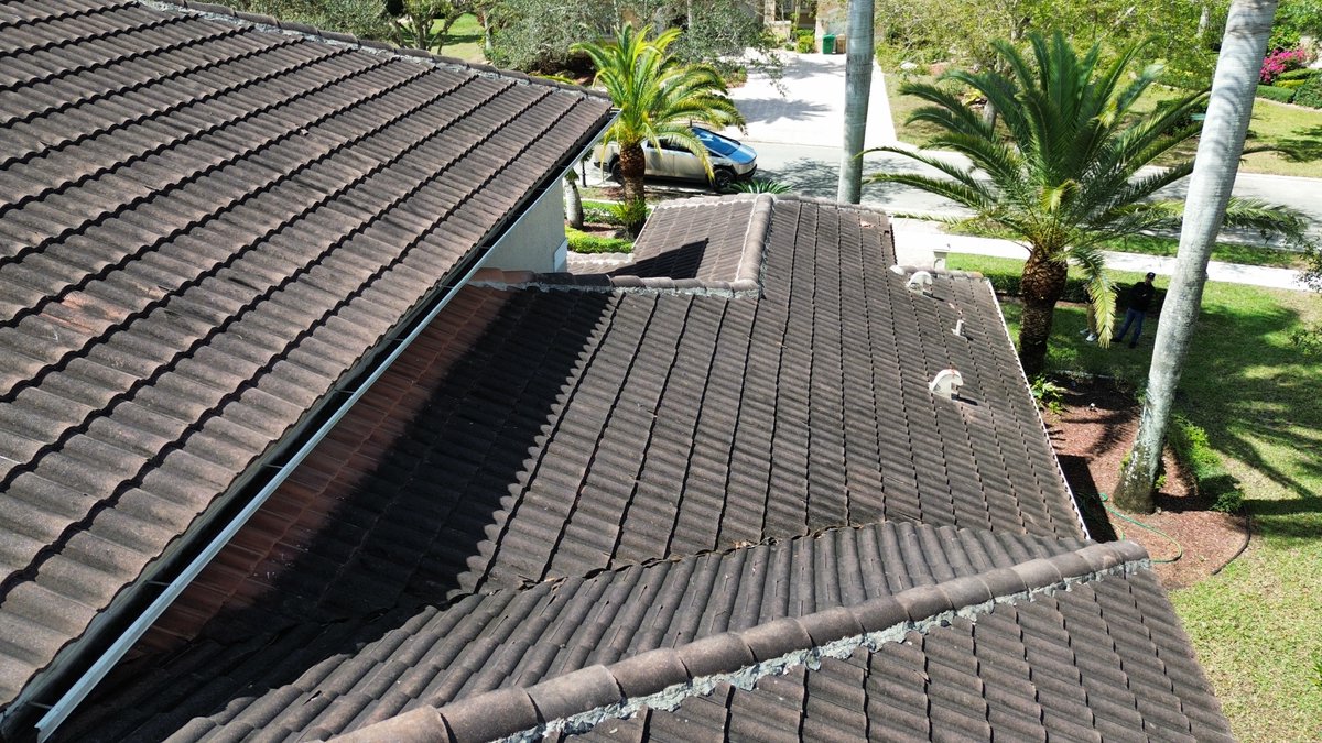 Christian Bello tweet media