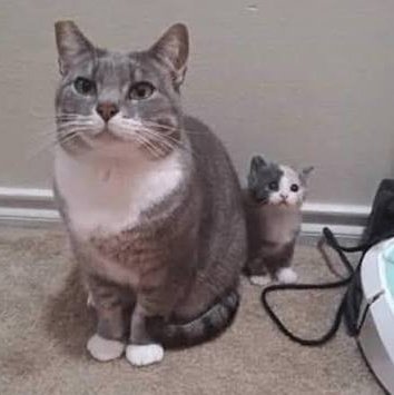 Grillmaster Harry tweet media