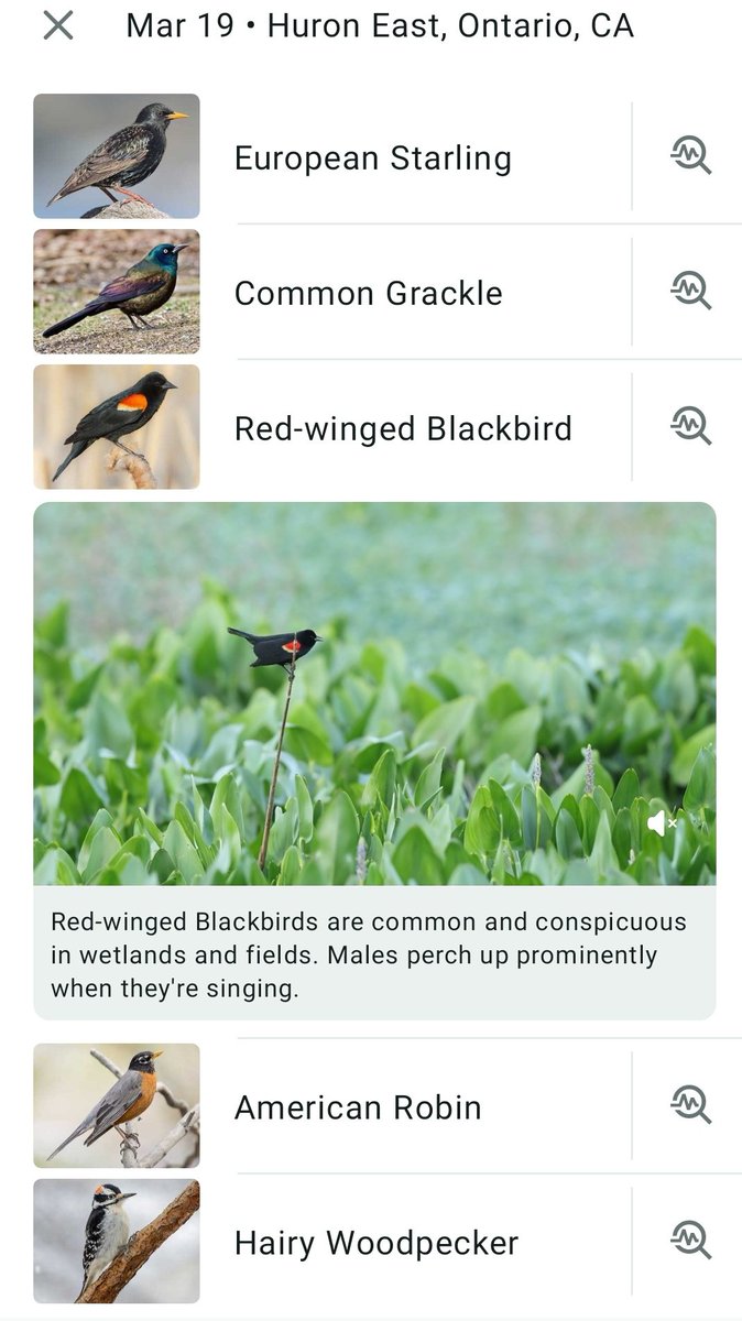 WxOntario tweet media