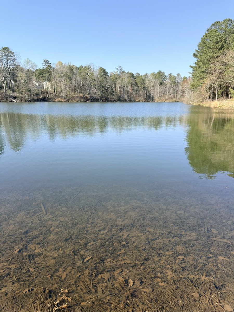 ThaILLAstrators tweet media