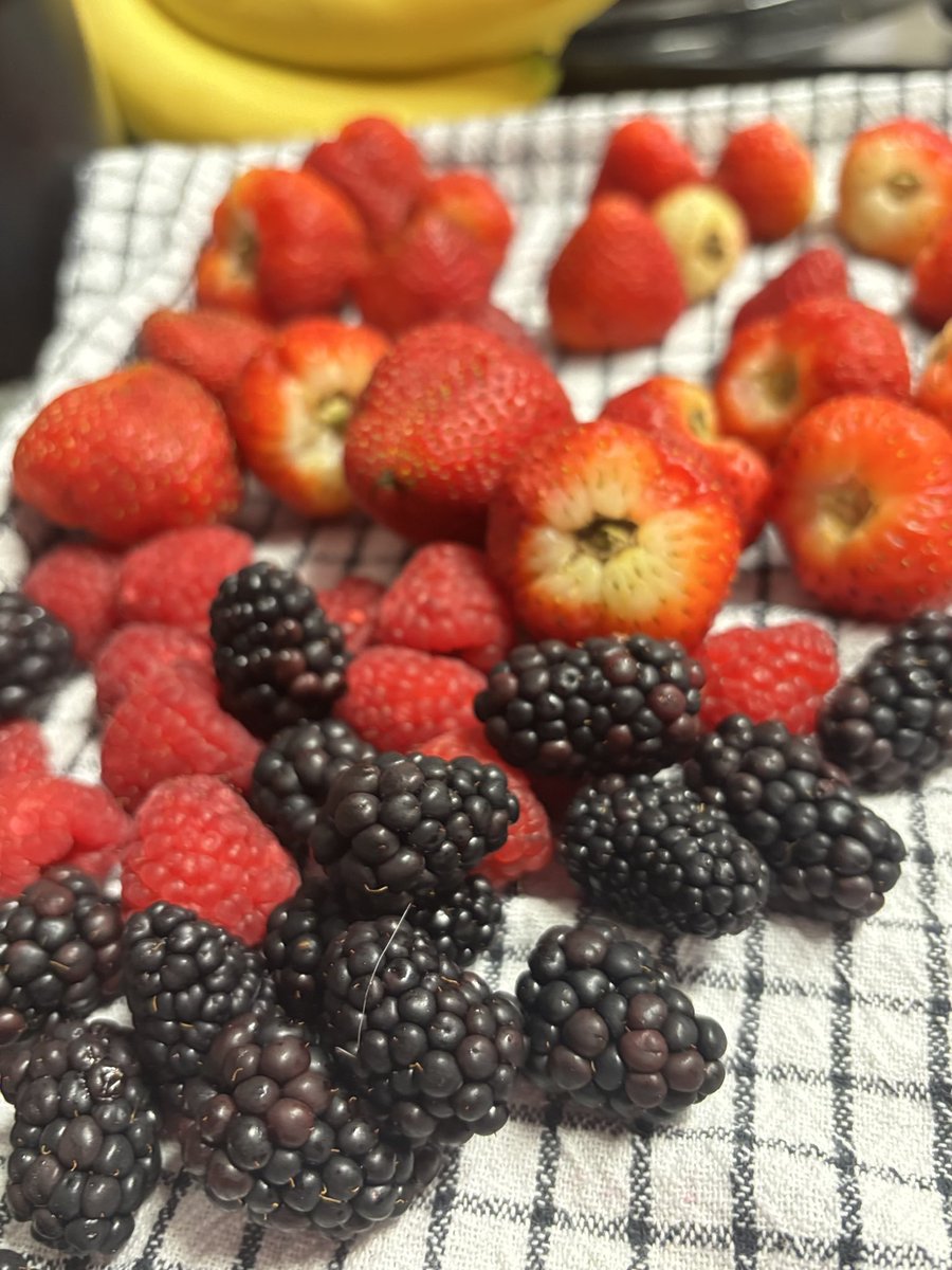 ☥ 𝒞ℴ𝓊𝓃𝓉ℯ𝓈𝓈 𝒫ℴℴ𝓀𝓈 ☥ tweet media