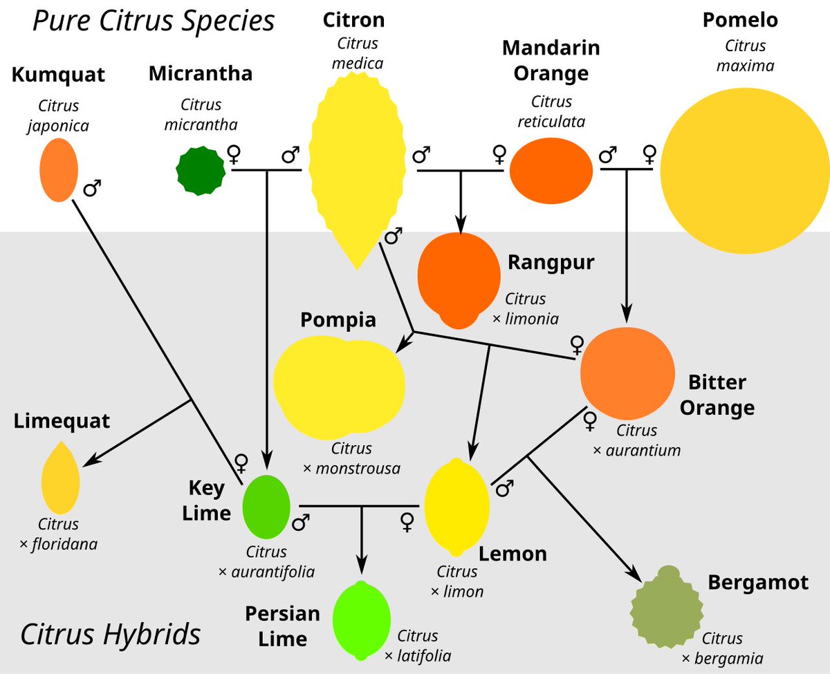 Michael Baym tweet media