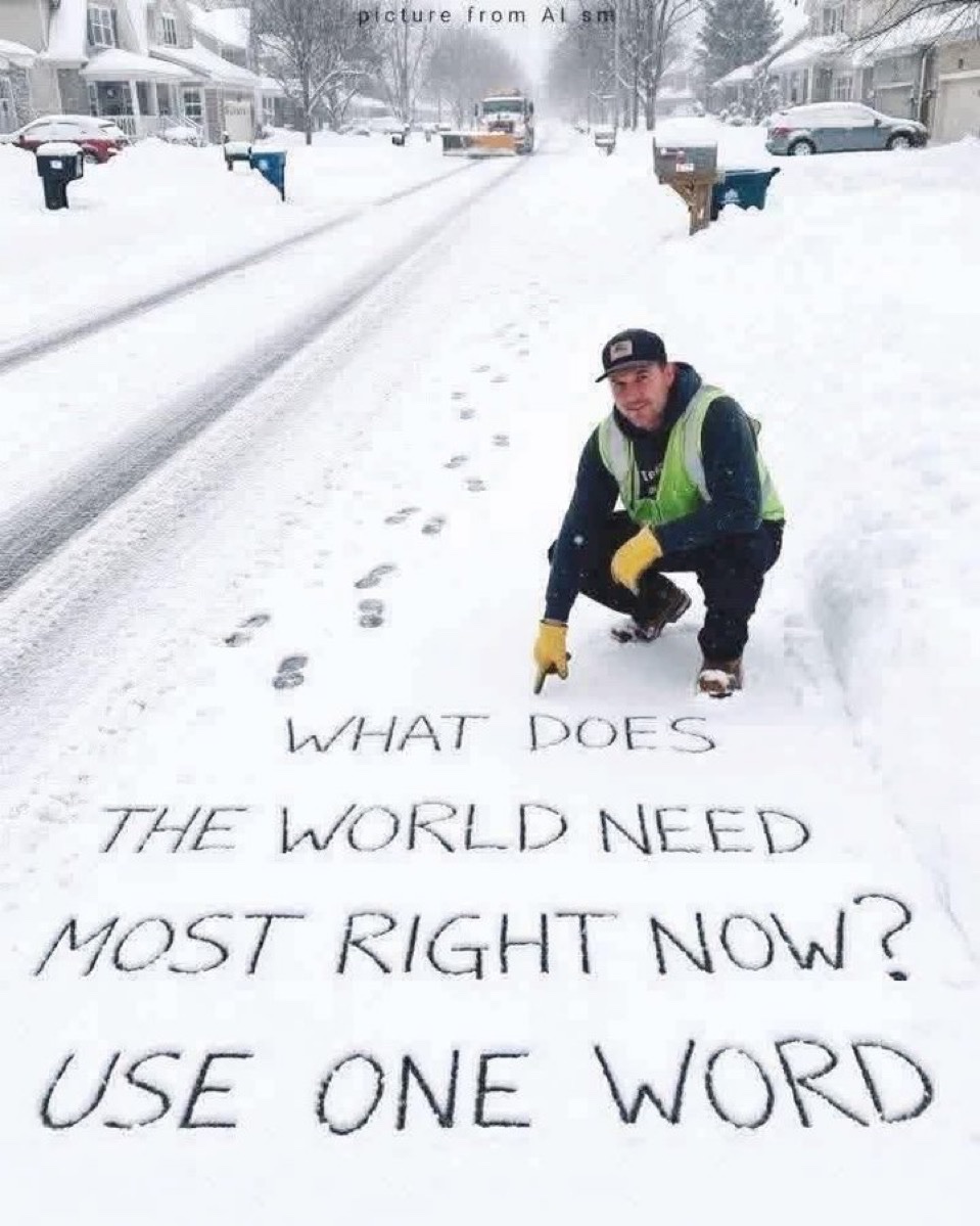 Honey 🛼 tweet media