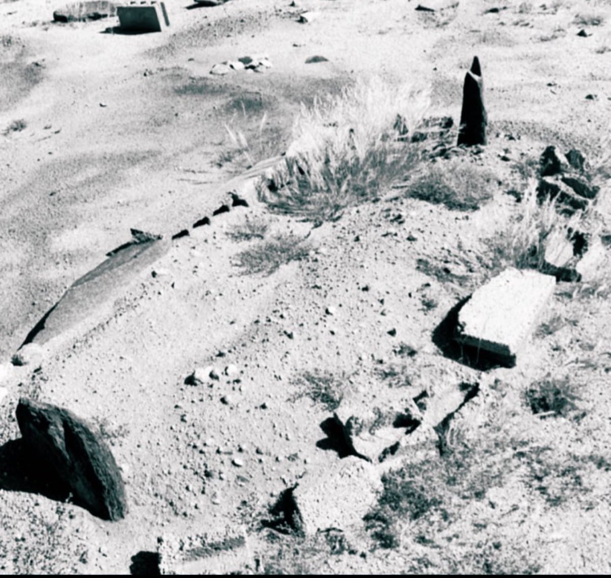 ناصـر المتلـقم tweet media