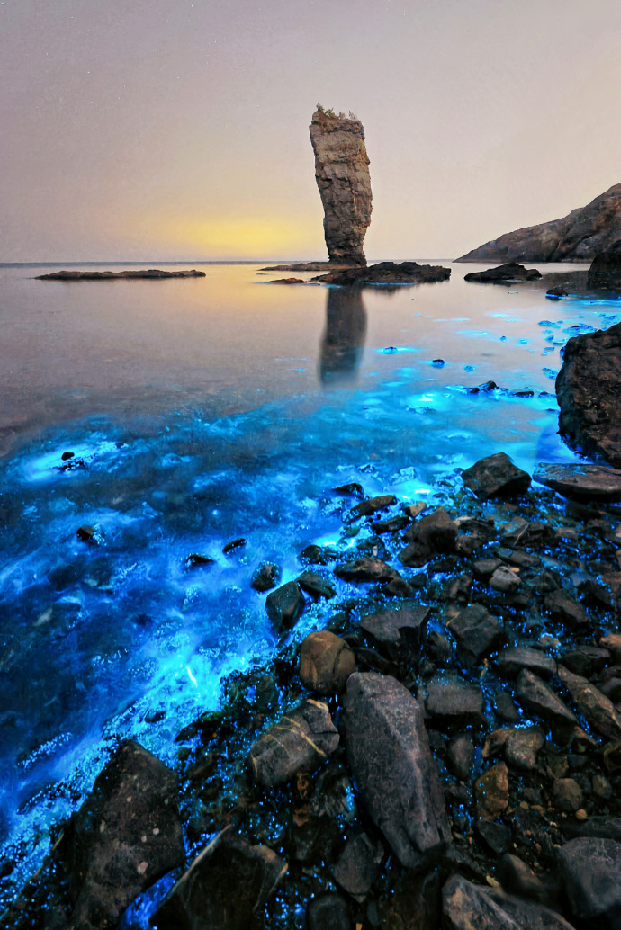 Lisa Nguyen tweet media