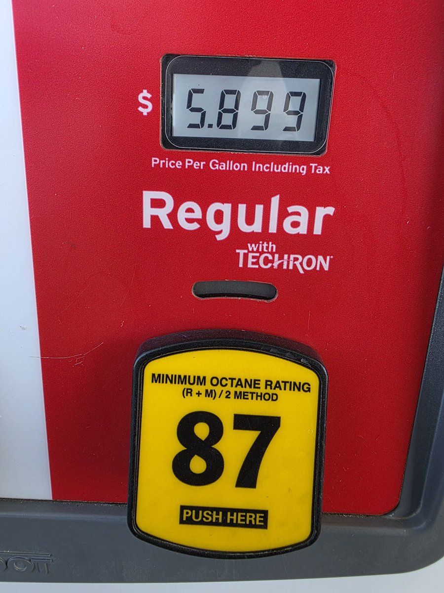 Gotham Groyper tweet media