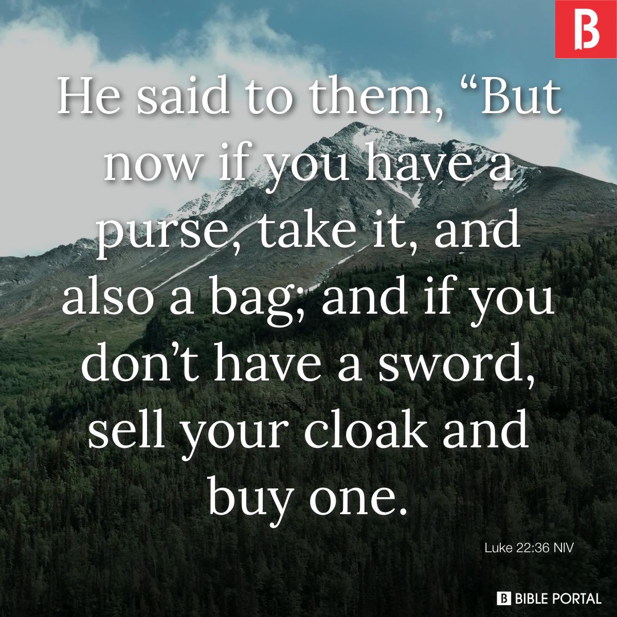 ｈａｌｏ 🪽 tweet media