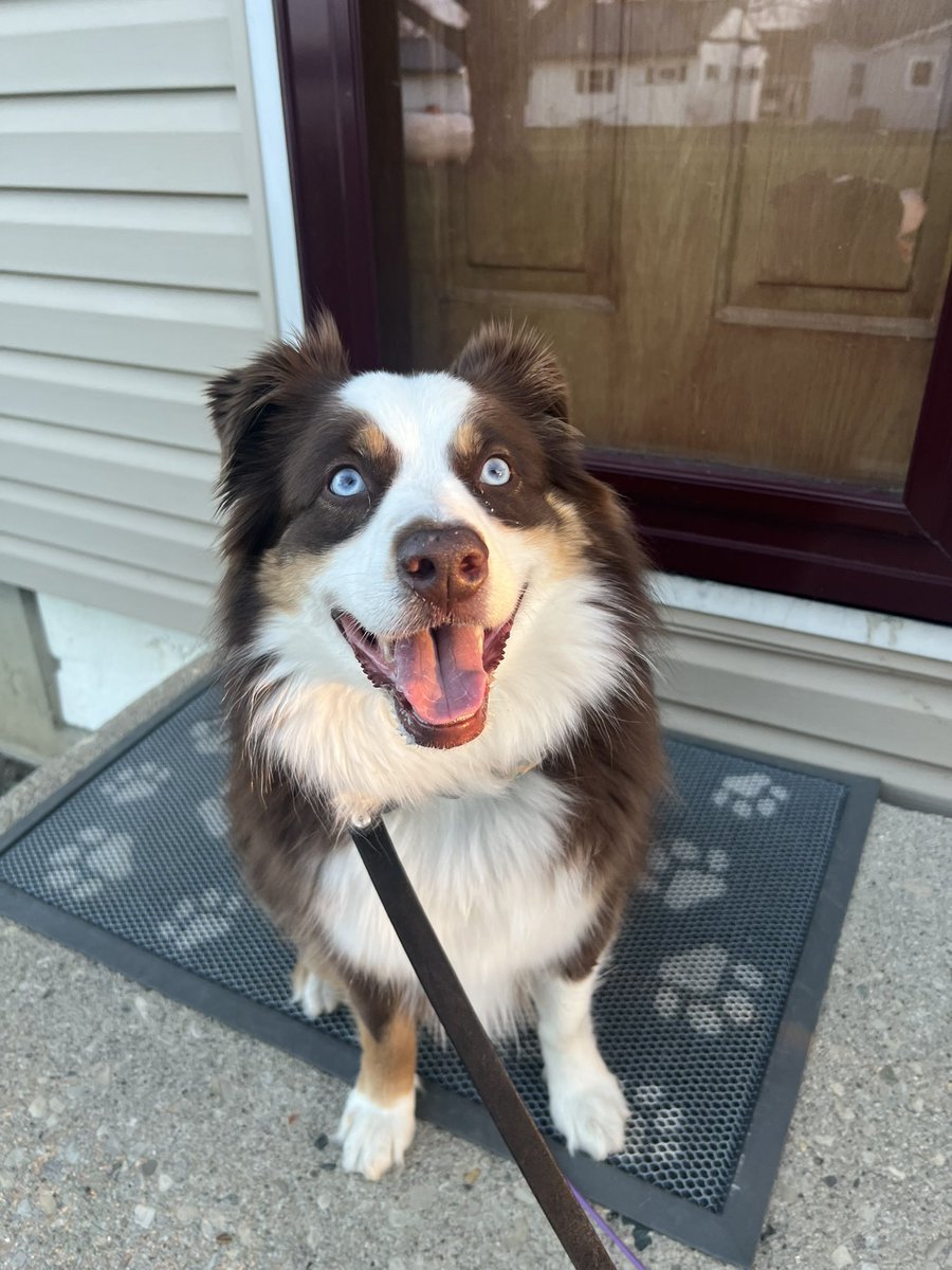 Mandy Albers (and Willow) tweet media