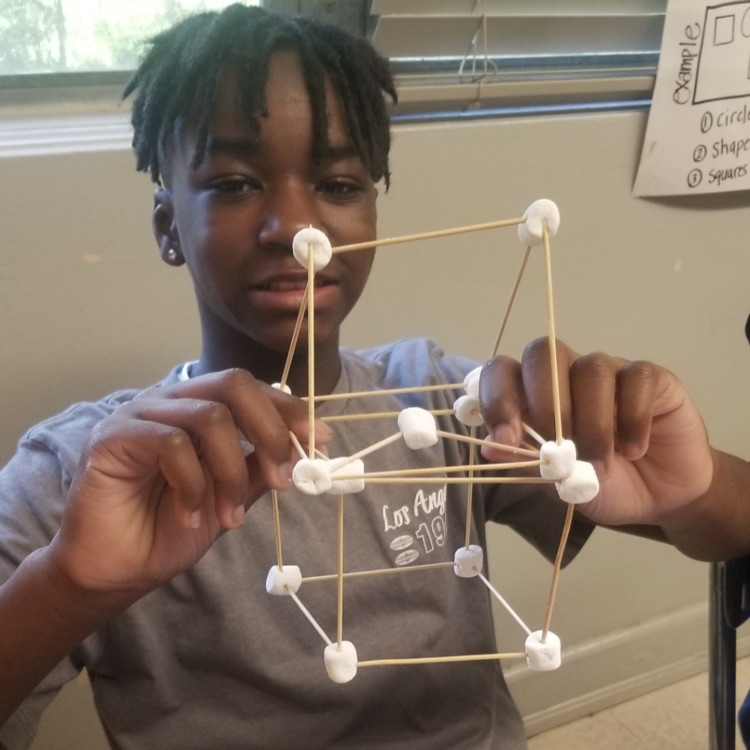 Senatobia Middle School tweet media