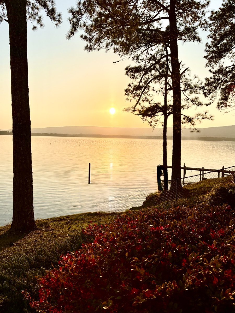 Teresa Sauls 🥋 tweet media