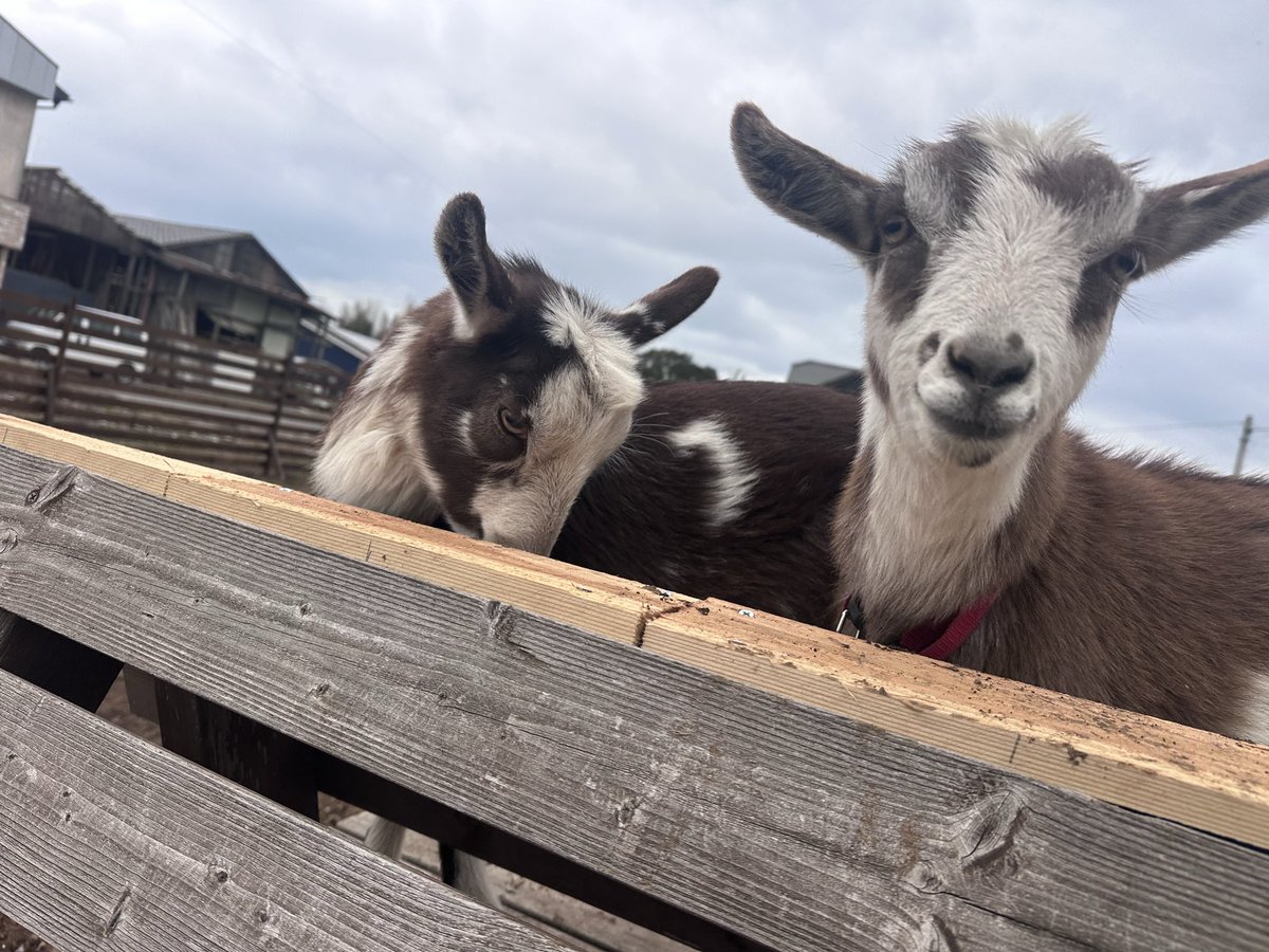 飯島一貴 tweet media