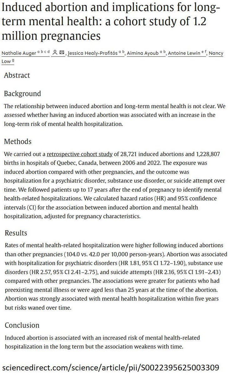 Based Testudine tweet media