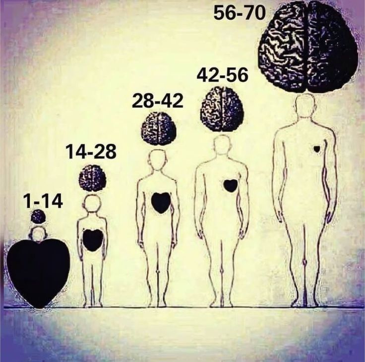 Silent Orbit tweet media