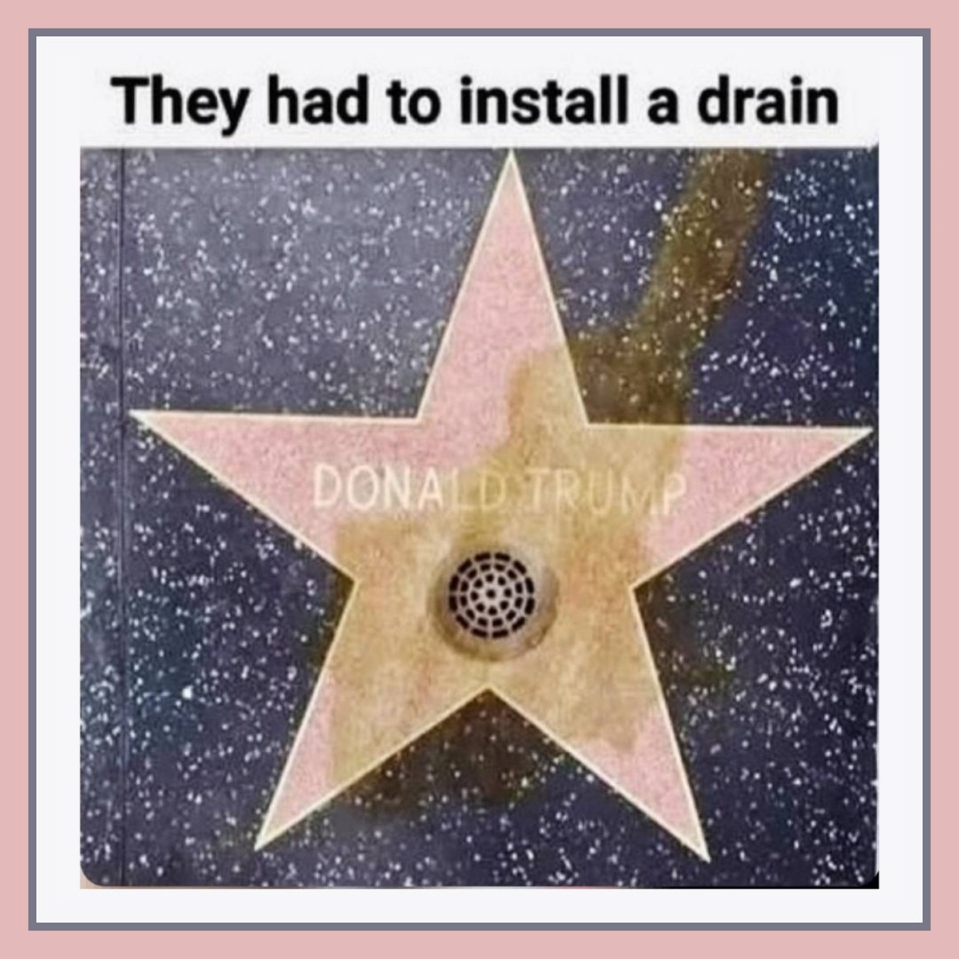 Harry Ford tweet media