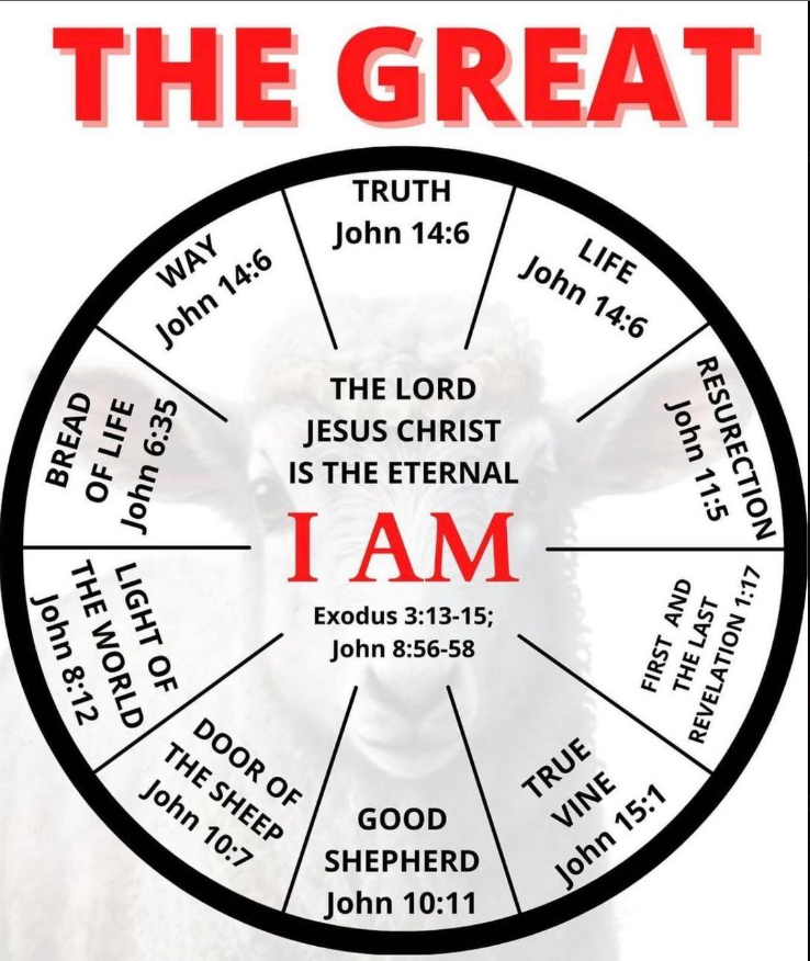 Seek I Am tweet media