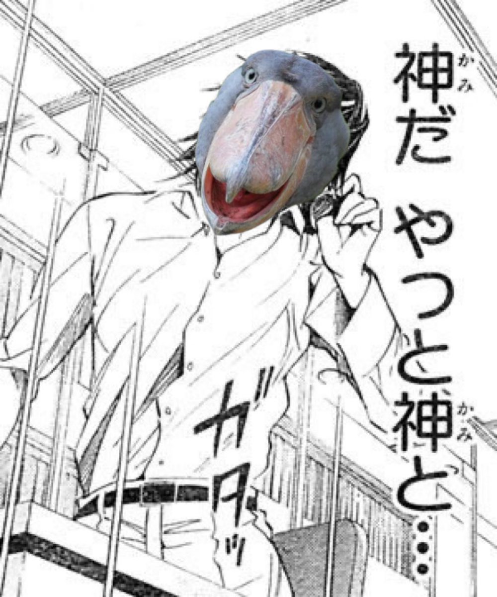 ヒッポAM,CCC tweet media