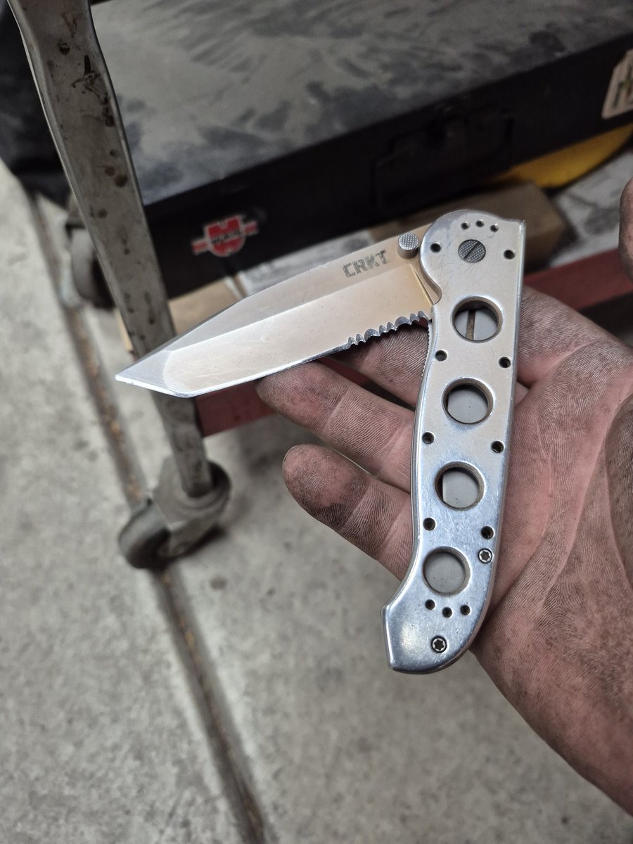 Dr. Ammosexual gatitos picantes viven en mi sangre tweet media