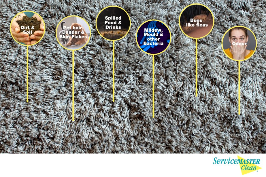 ServiceMaster Mason tweet media